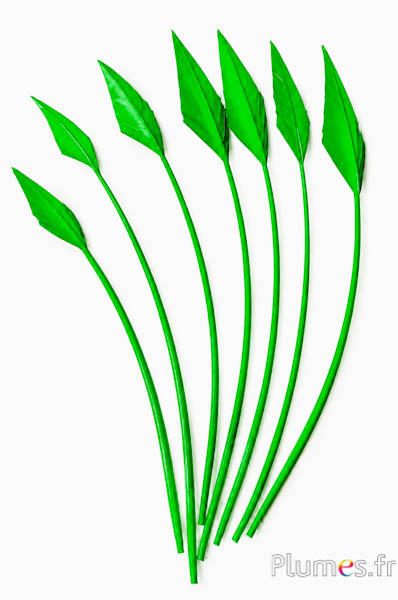 Cigno freccia - 20-30 cm - verde
